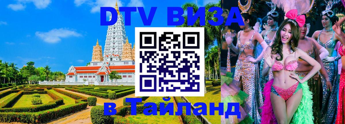 Оформление DTV визы под ключ: стоимость и тарифы, только загранпаспорт - Бийск  19.11.2025 